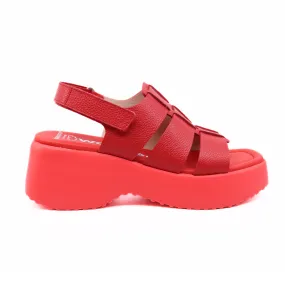 Wild Rojo